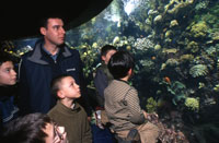 OCEANOPOLIS - Parc de D�couverte des Oc�ans