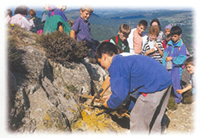Les Pinsons - La Marjolaine
  ON S'Y SANCY BIEN...
