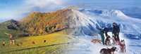 Les Pinsons - La Marjolaine
  ON S'Y SANCY BIEN...
