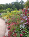 Jardin des Sens, Passerelle entre les générations