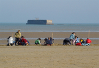 Ligue de l'Enseignement du Calvados