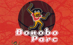 Bonobo Parc, parcours dans les arbres
