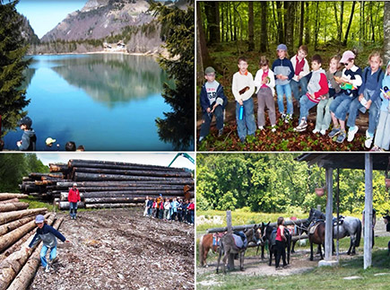 Centre de Vacances Chalet des Forêts