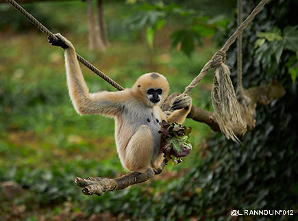 Ecole de la Nature de Branféré  56190 Le Guerno