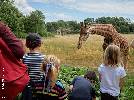 Ecole de la Nature de Branféré  56190 Le Guerno