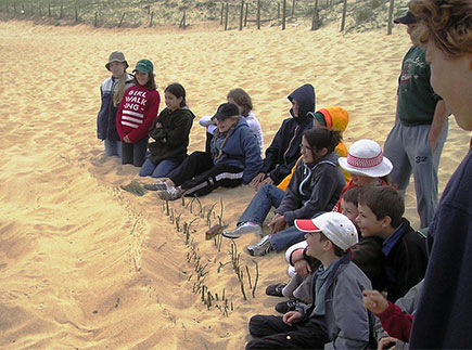 Centre de Vacances CAP Océan  40510 Seignosse-le-Penon