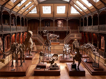 Musée Cinéma & Miniature