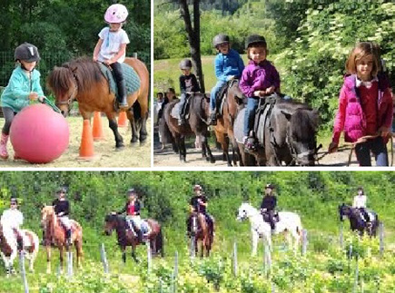 Centre Cheval Bugey - Auvergne Rhône-Alpes