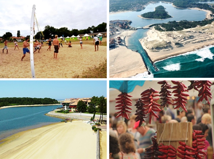 Sports Campus International