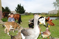 Poney Club, Ferme Pédagogique et Gîte de Villers