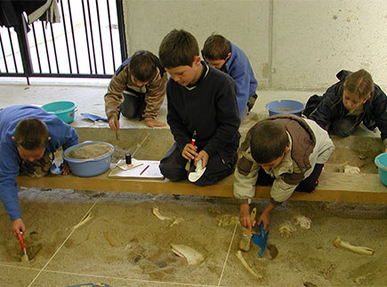 Grand Site de l'Aven d'Orgnac, La Grotte et la Cité de la Préhistoire