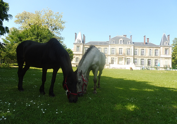 Château de l'Armançon, Animation Vacances Loisirs