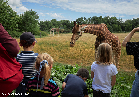 Ecole de la Nature de Branféré