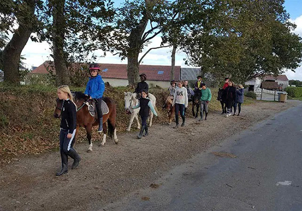 Bretagne Gîte Poney Equitation du Rulan - Côtes de granite rose